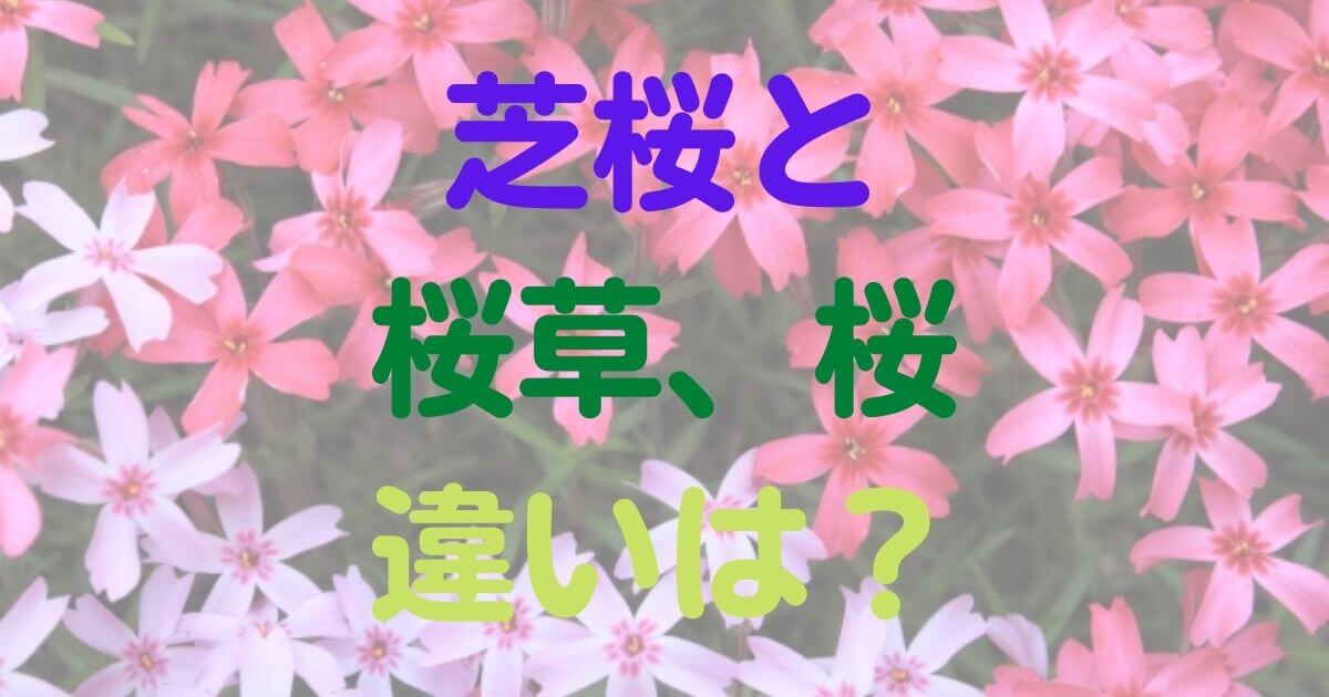 2 2